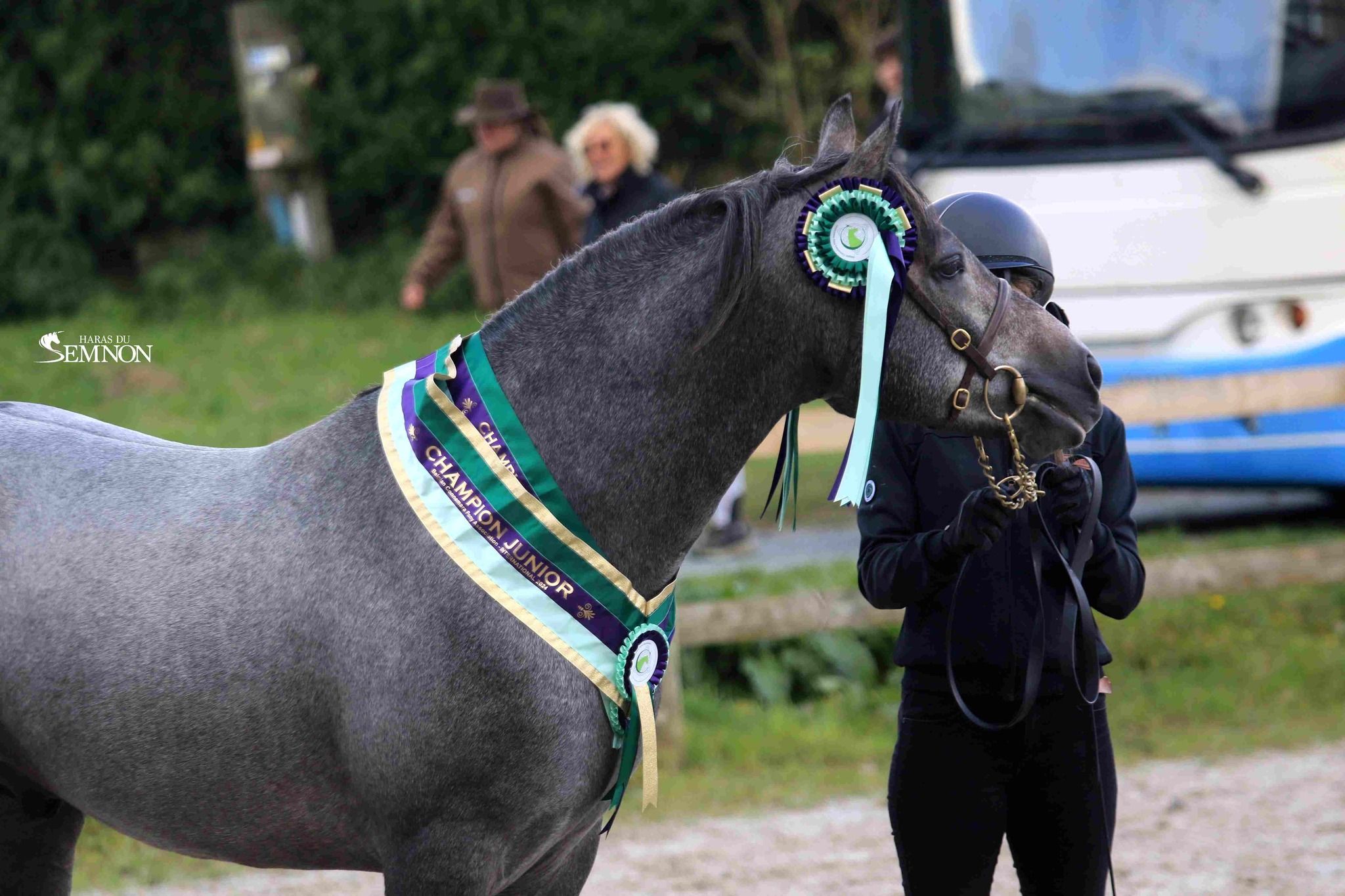 Love Affair Rhapsody