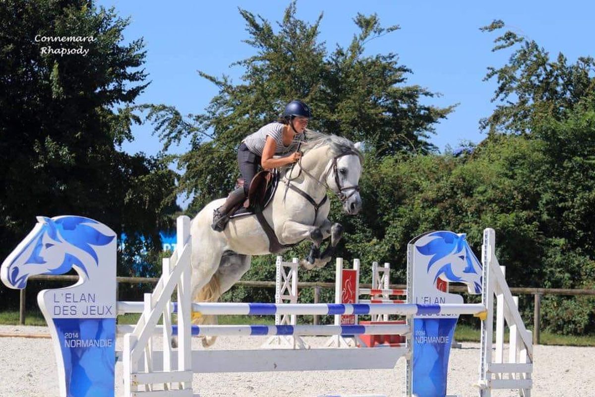 CANNON BALL BRIOVERE - Haras du Semnon