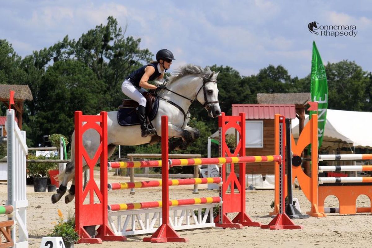 CANNON BALL BRIOVERE - Haras du Semnon