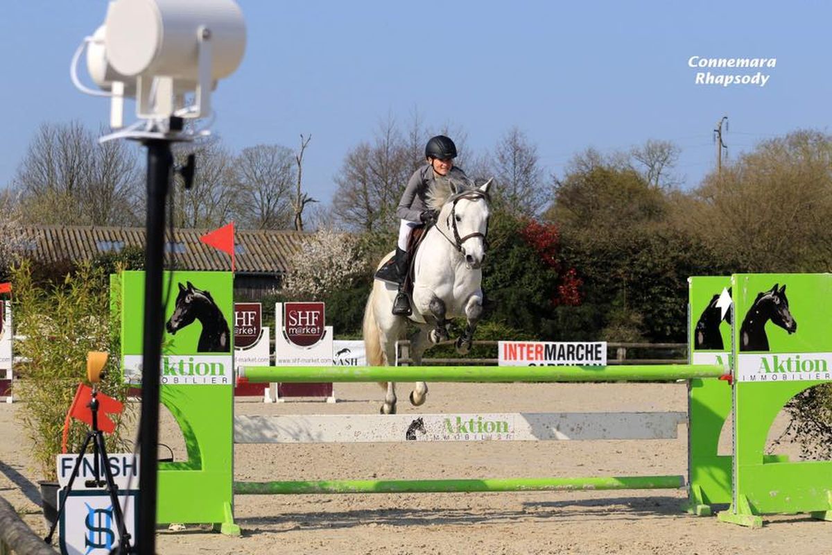 CANNON BALL BRIOVERE - Haras du Semnon