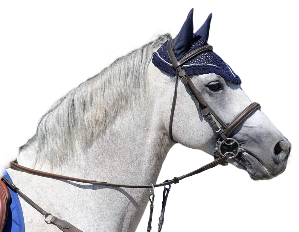 FOLK N ROCK RHAPSODY -Haras-du-Semnon