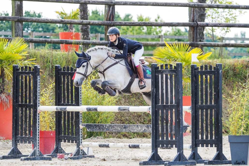 FOLK'N ROCK RHAPSODY