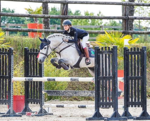 FOLK'N ROCK RHAPSODY