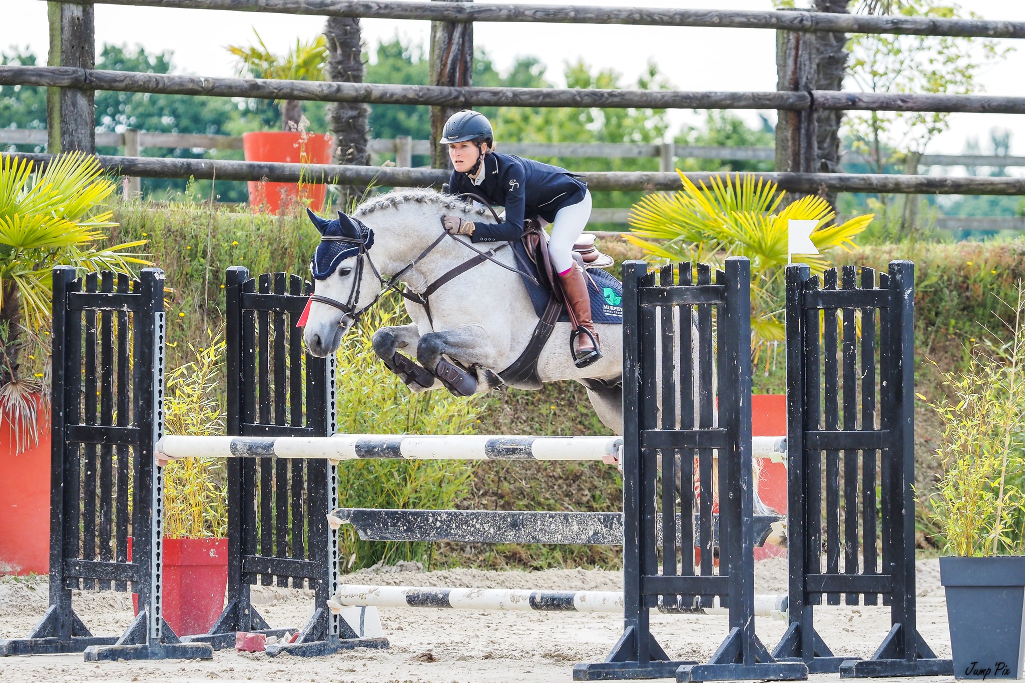 FOLK'N ROCK RHAPSODY