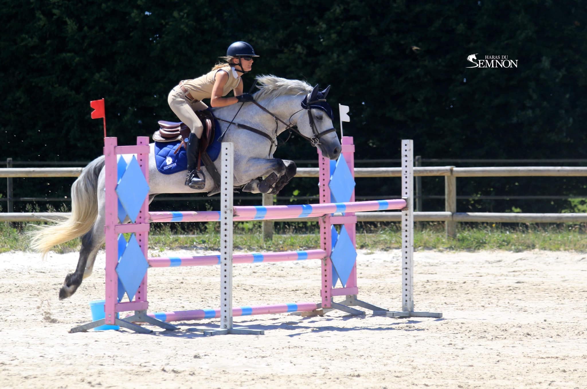 FOLK'N ROCK RHAPSODY