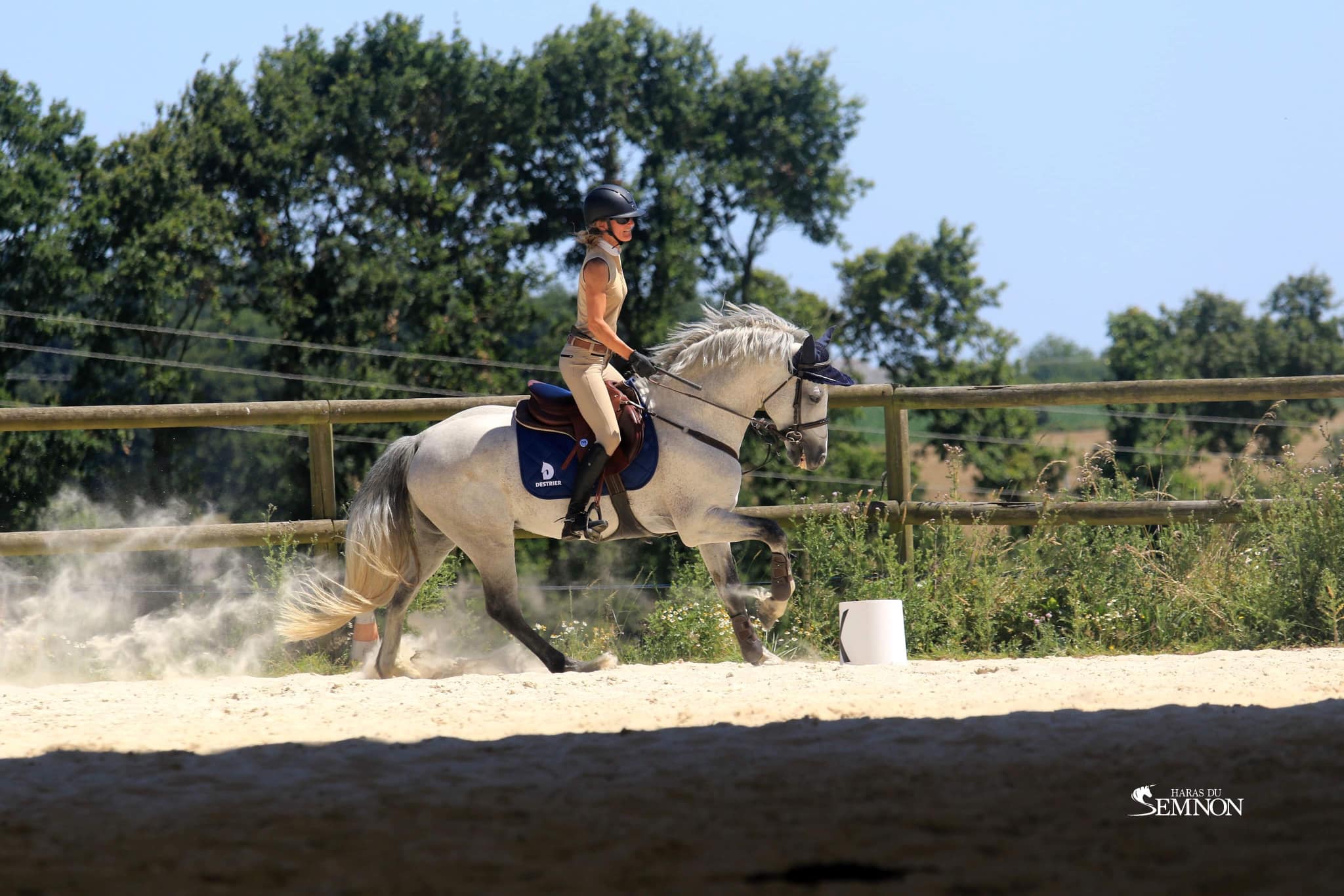 FOLK'N ROCK RHAPSODY