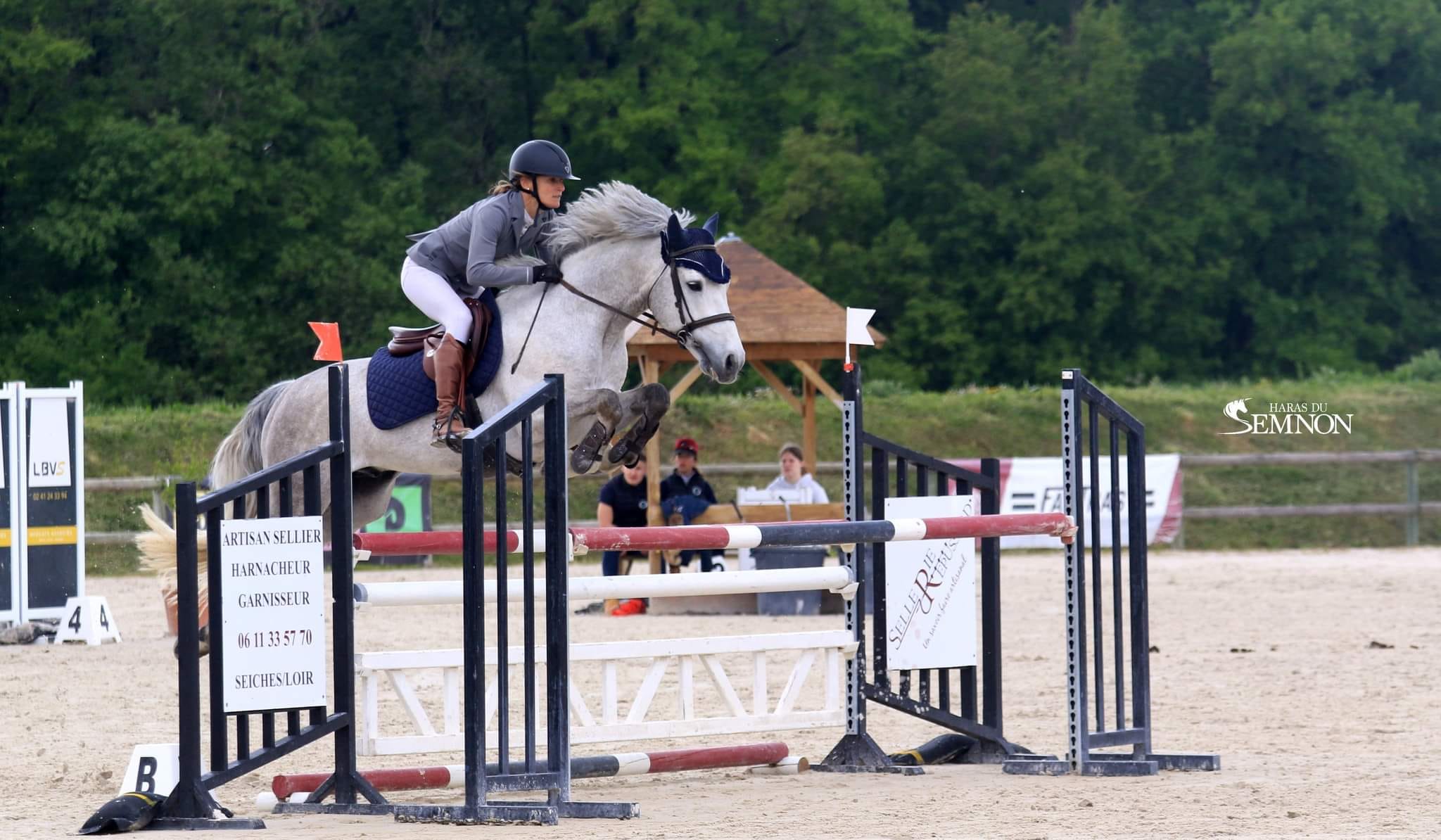 FOLK'N ROCK RHAPSODY