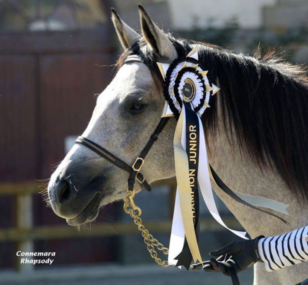 HEL'N HEAVEN RHAPSODY