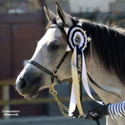 HEL'N HEAVEN RHAPSODY