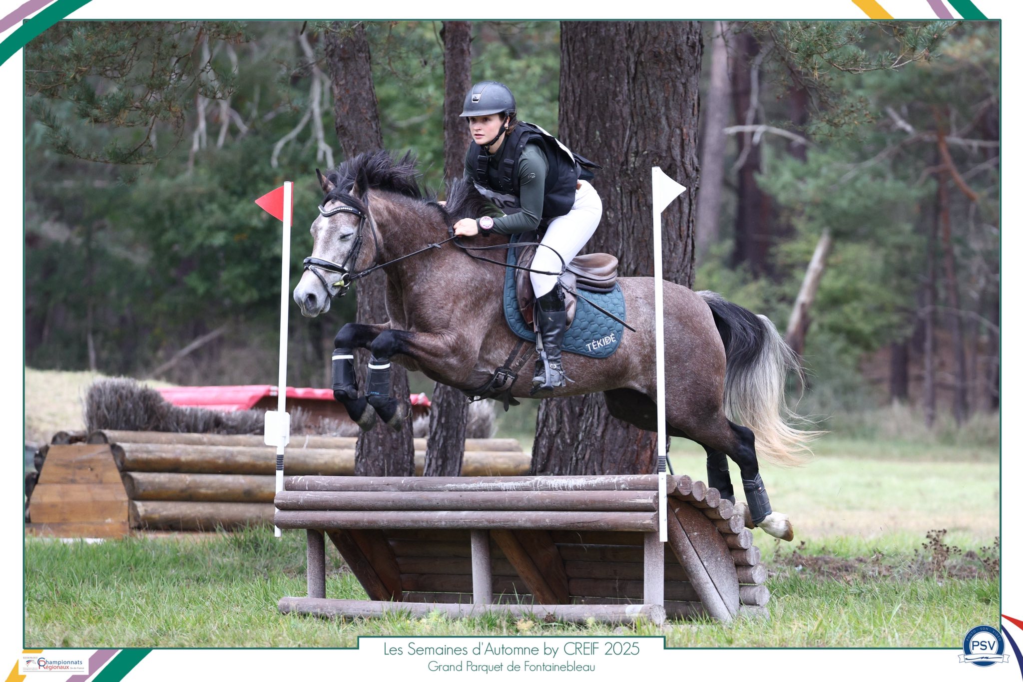 Layorka de Wid’sard