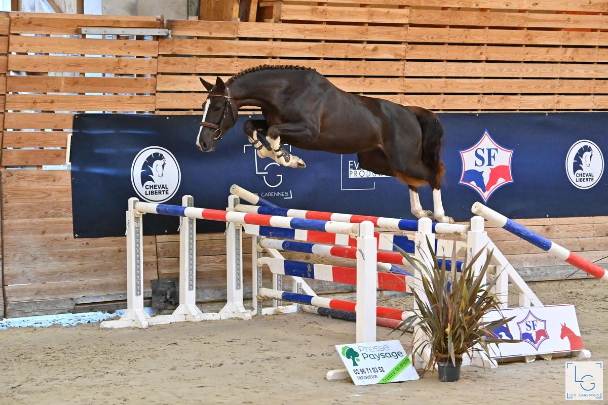 Louis d'Or Guicharday