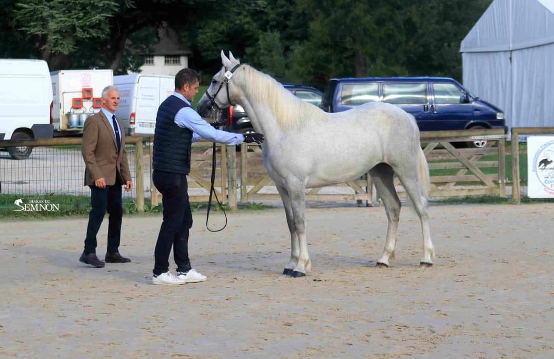 May be Mine Rhapsody