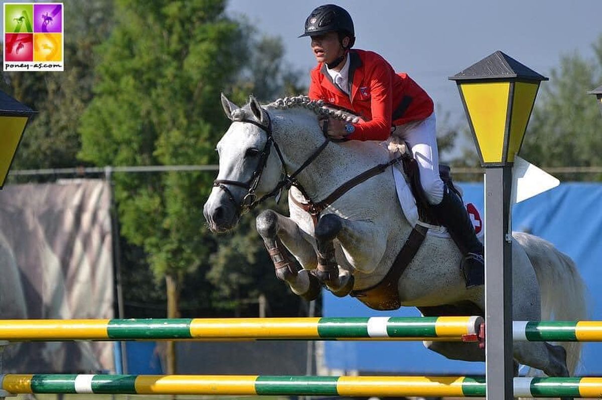 ROUGHAN SPARROW étalon Connemara - Haras du Semnon