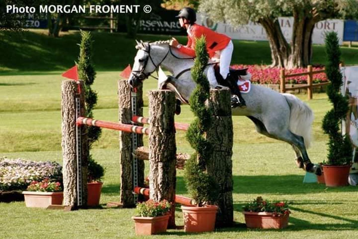 ROUGHAN SPARROW étalon Connemara - Haras du Semnon