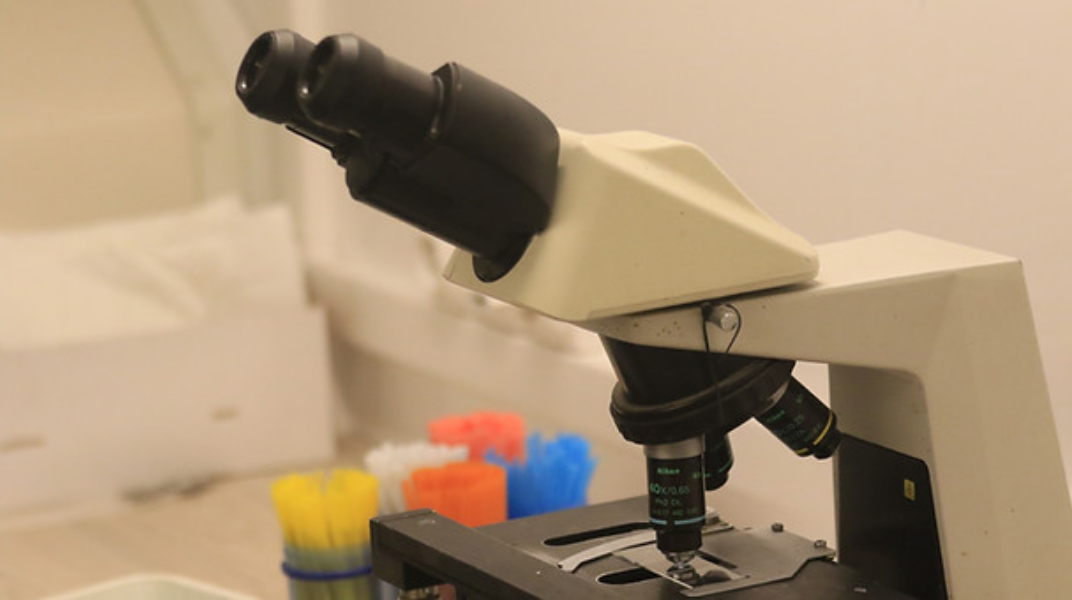 Centre d'insémination - Bretagne