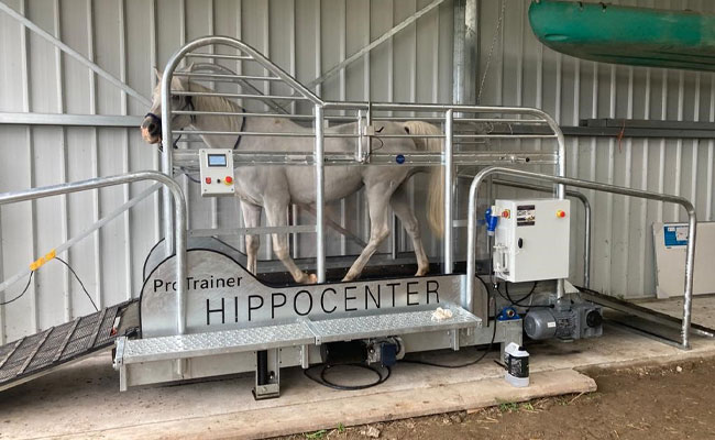 Centre de remise en forme chevaux Bretagne - Haras du Semnon