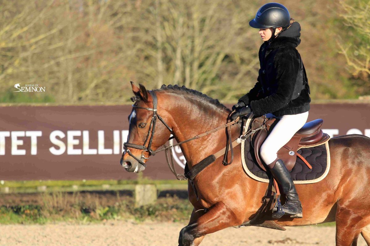 UGO DES CLAS*DORCAMP