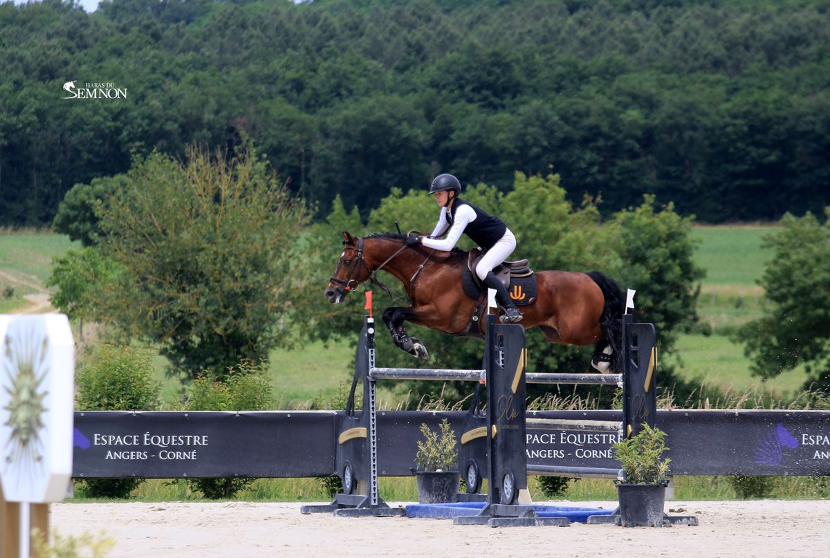 UGO DES CLAS*DORCAMP