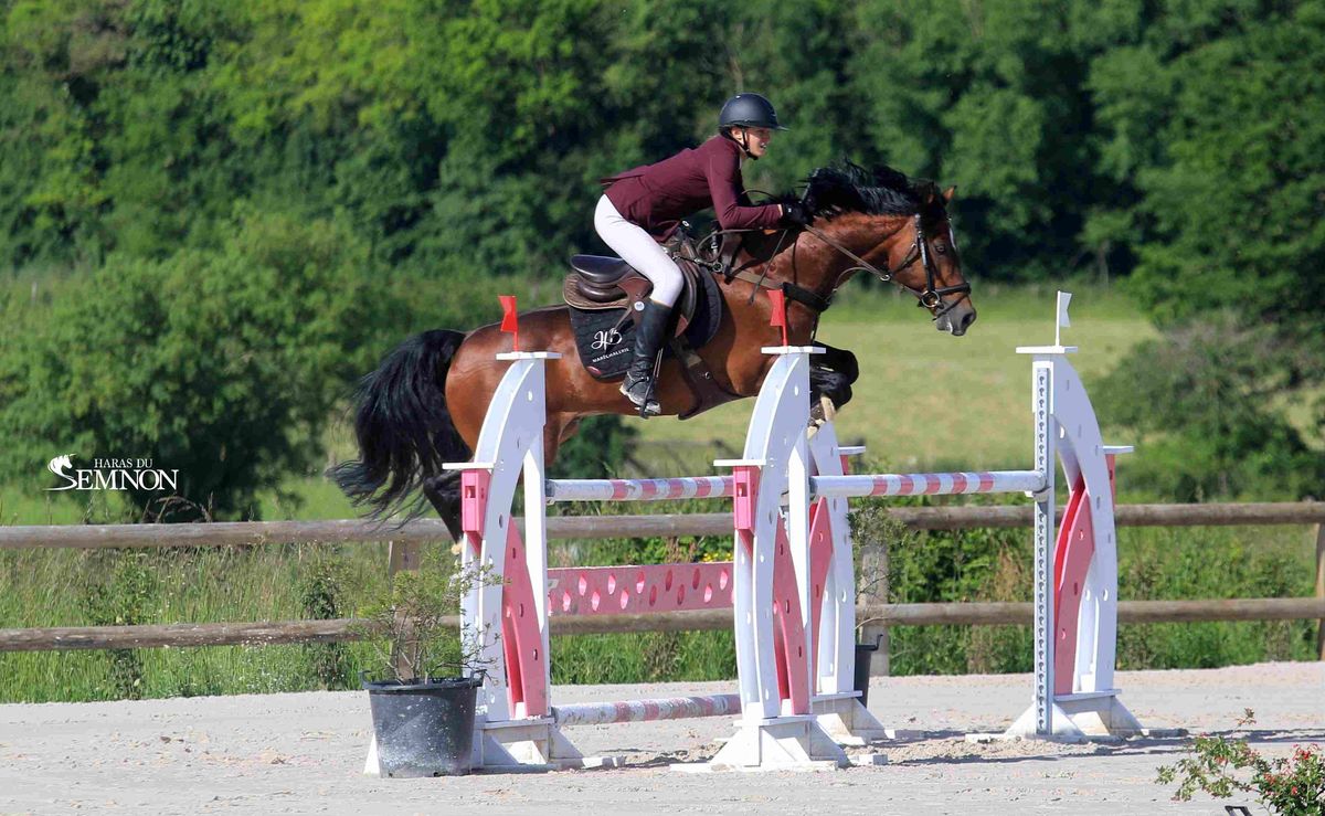 UGO DES CLAS DORCAMP