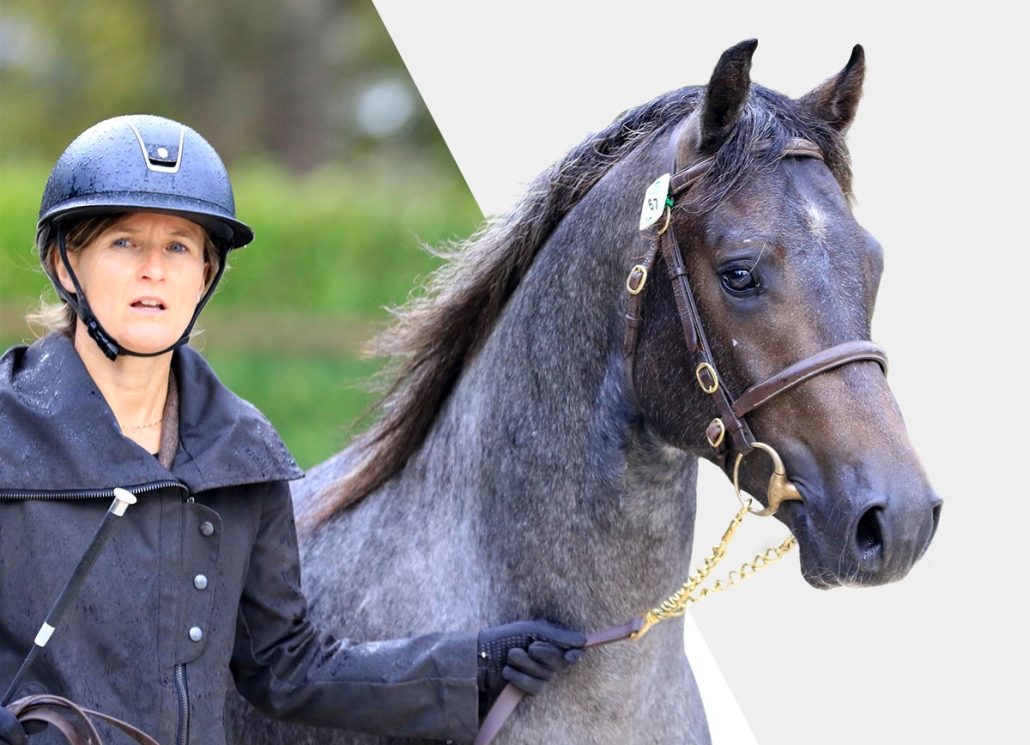 Centre de collecte et d'insémination - Ile et Vilaine