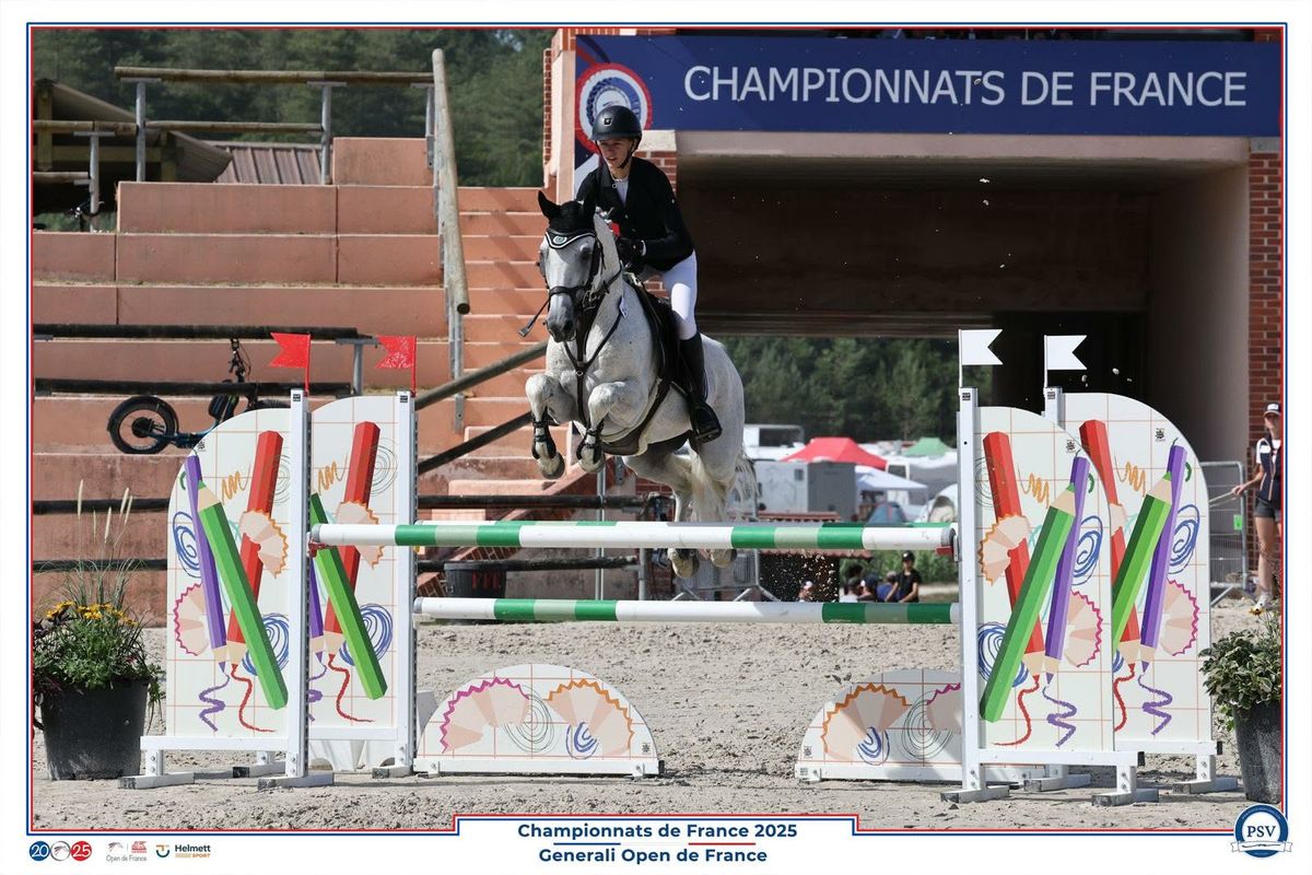 Elwood bleus d'argan étalon Connemara - Pumkins Pondi - Haras du Semnon