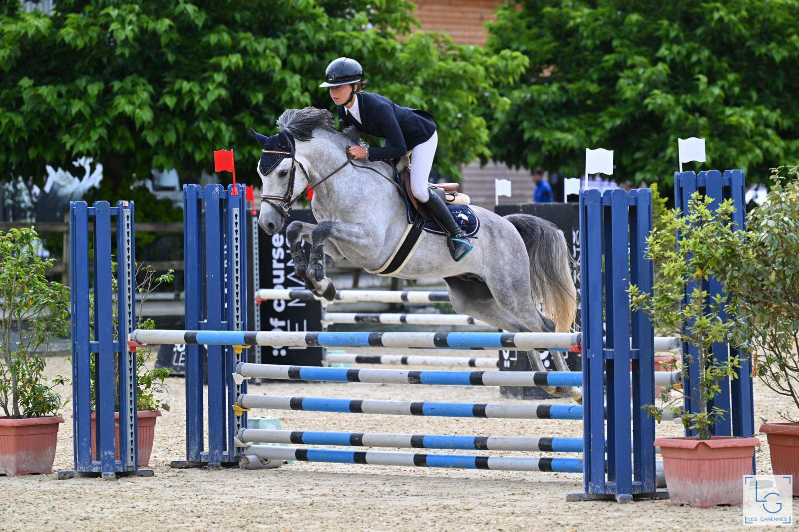 Kun Fu Pan d'ame étalon PFS - Haras du Semnon