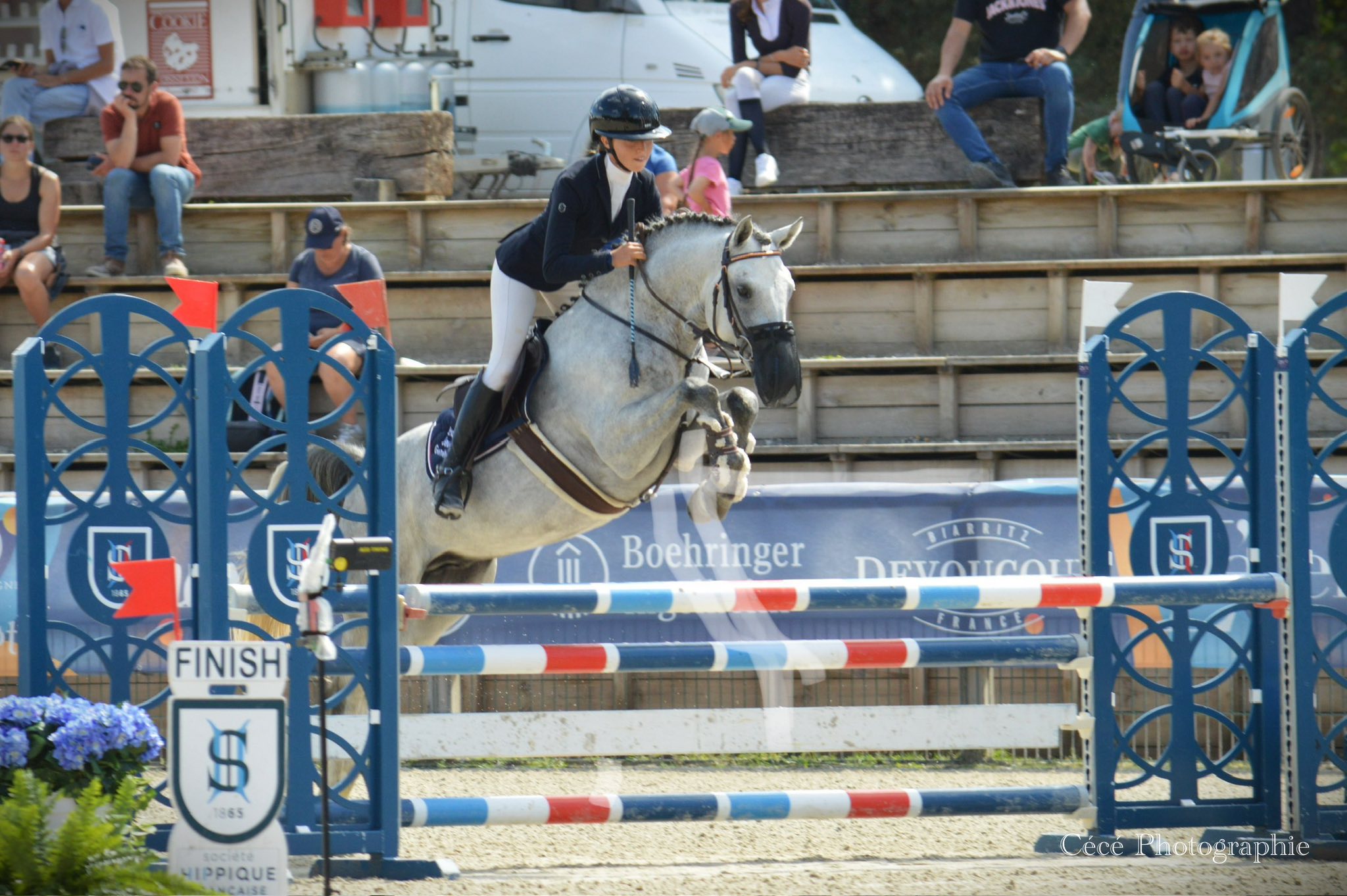 Kun Fu Pan d'ame étalon PFS - Haras du Semnon