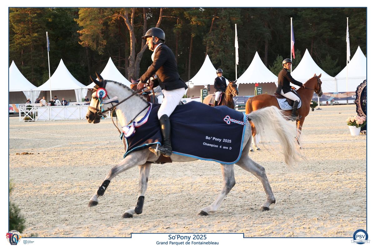 L'Boy du Roc - Haras du Semnon