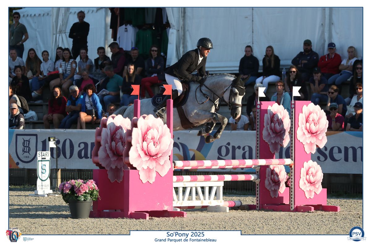 L'boy du Roc - Haras du Semnon