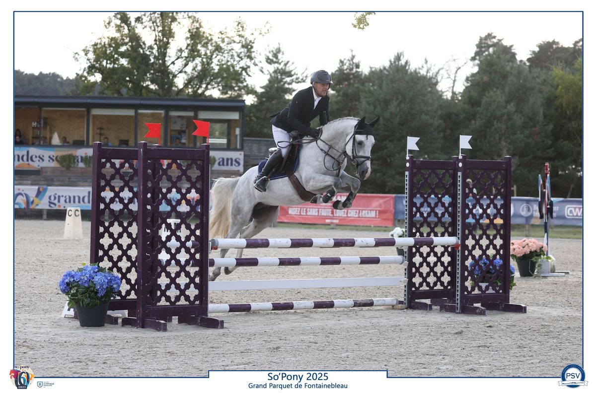 L'Boy du Roc - Haras du Semnon