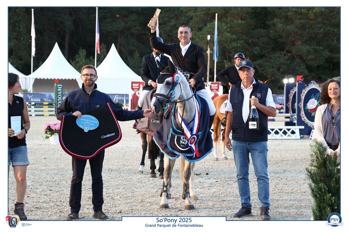 L'boy du Roc - Haras du Semnon